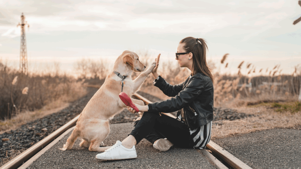 A woman gently pets a dog What is a Niche? 5 Examples of Print on Demand niche ideas 1